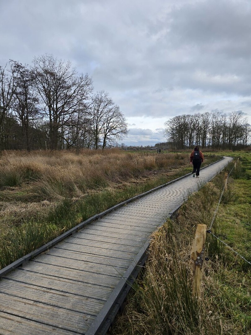 Wandeling Landgoed Wellenseind