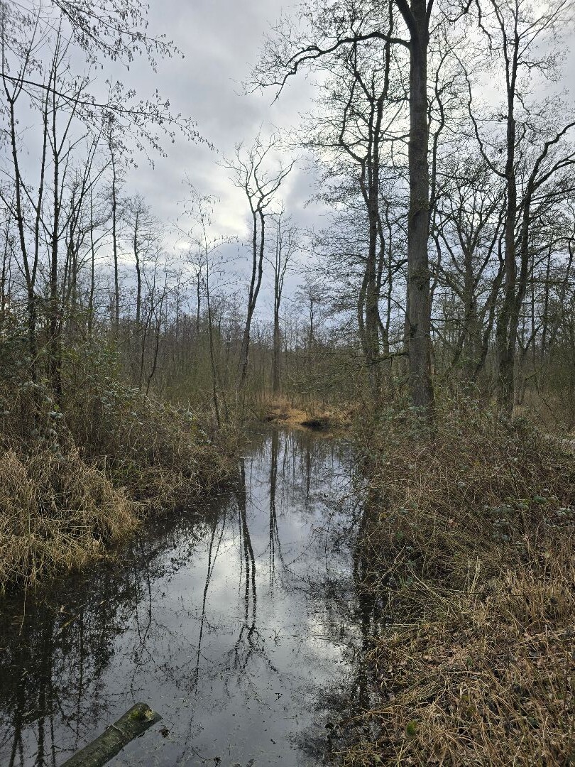 Wandeling Landgoed Wellenseind