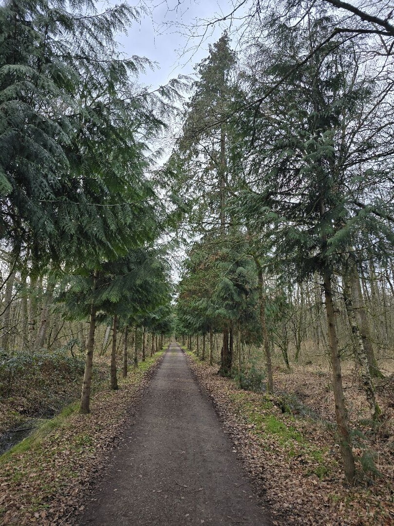 Wandeling Landgoed Wellenseind