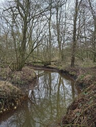 Wandeling Landgoed Wellenseind