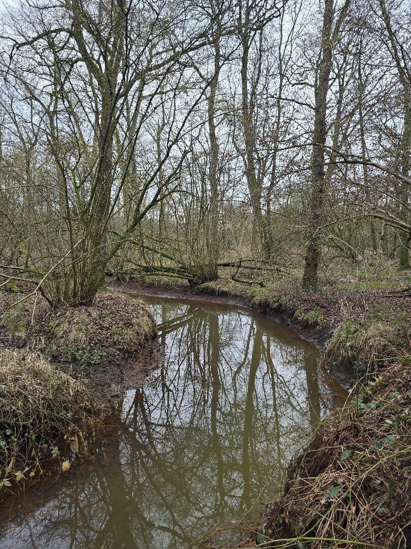 Wandeling Landgoed Wellenseind