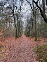 Rondwandeling Maarn en Austerlitz