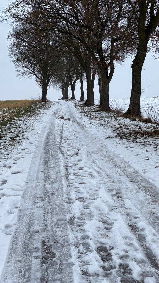 Schutrups wandeldag 25 km - 2026