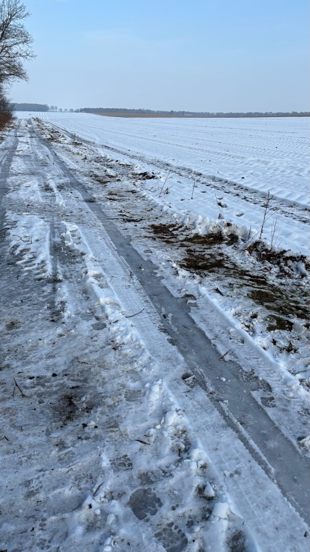 Schutrups wandeldag 25 km - 2026