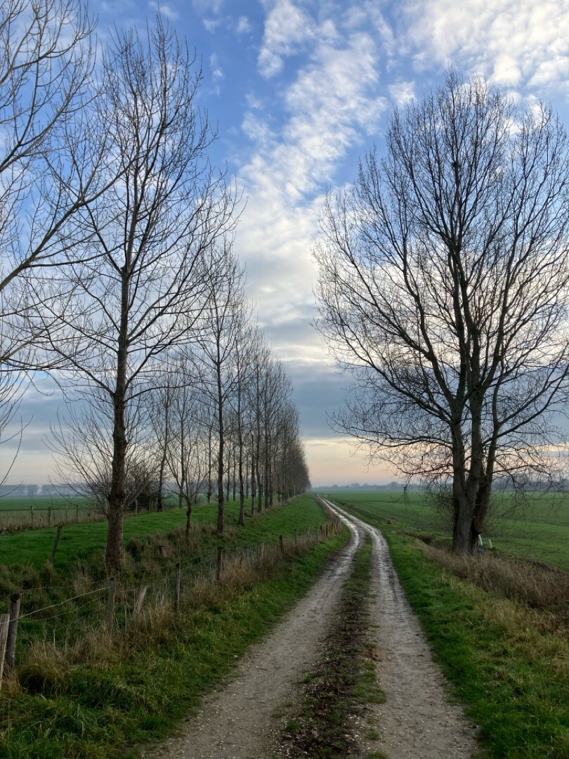 Goes - Zandkreekdam · Oosterscheldepad etappe 1
