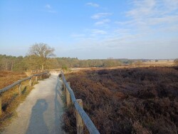 Holtingerveld - Diever · Drenthepad etappe 3