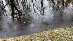 Gramsbergen - Groen