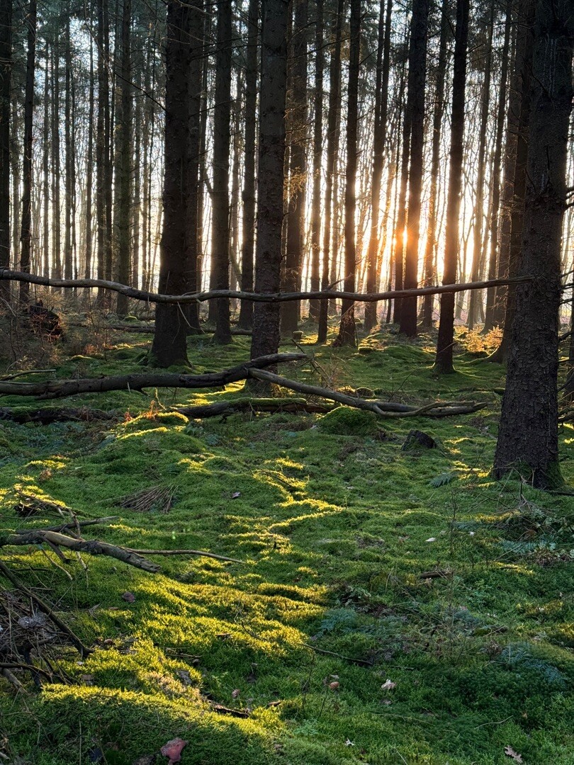 Schoonloo - Sleen · Pieterpad etappe 6