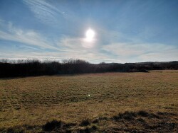 Wandelroute Duinroos
