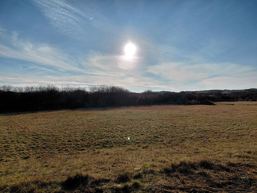 Wandelroute Duinroos