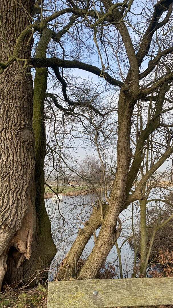 Vechtdalpad etappe 5 (Gramsbergen - Laar (D)) · Vechtdalpad etappe 5