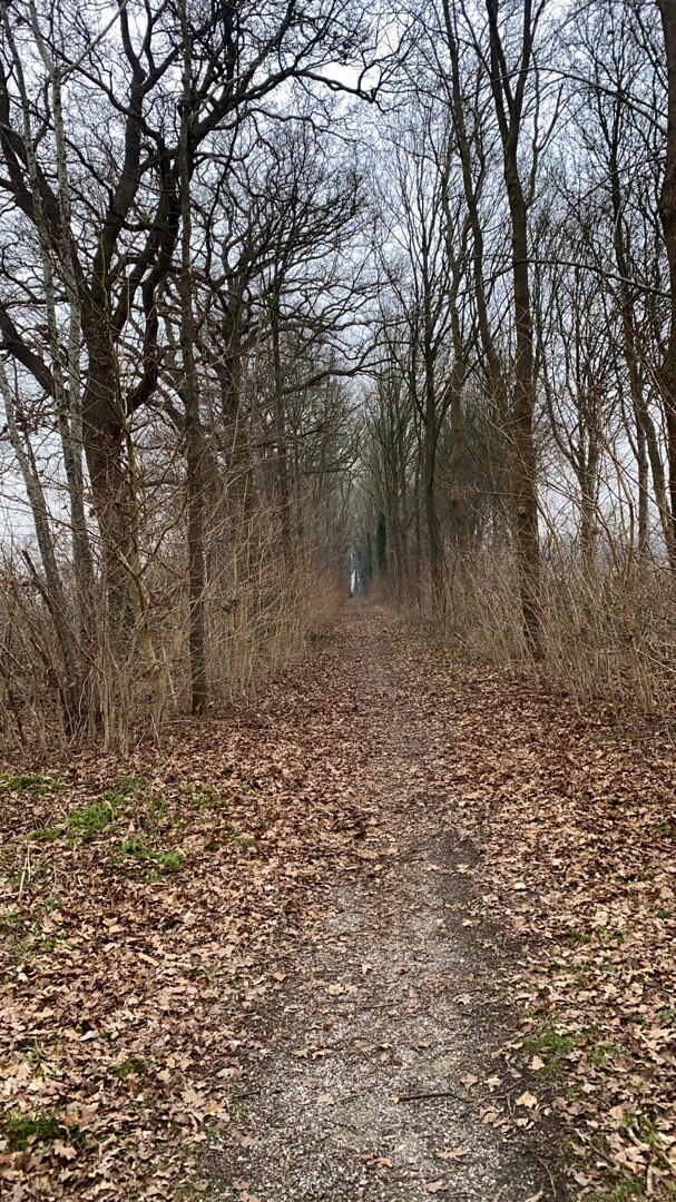 Vechtdalpad etappe 5 (Gramsbergen - Laar (D)) · Vechtdalpad etappe 5