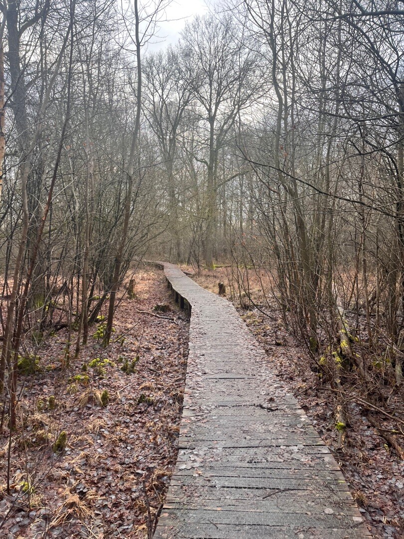 Parelpad Schutterspark