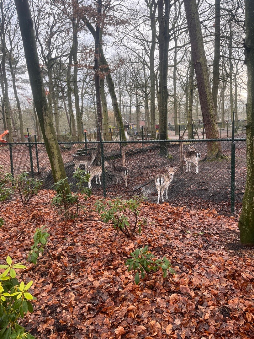 Parelpad Schutterspark