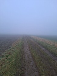 De Worp - Rood