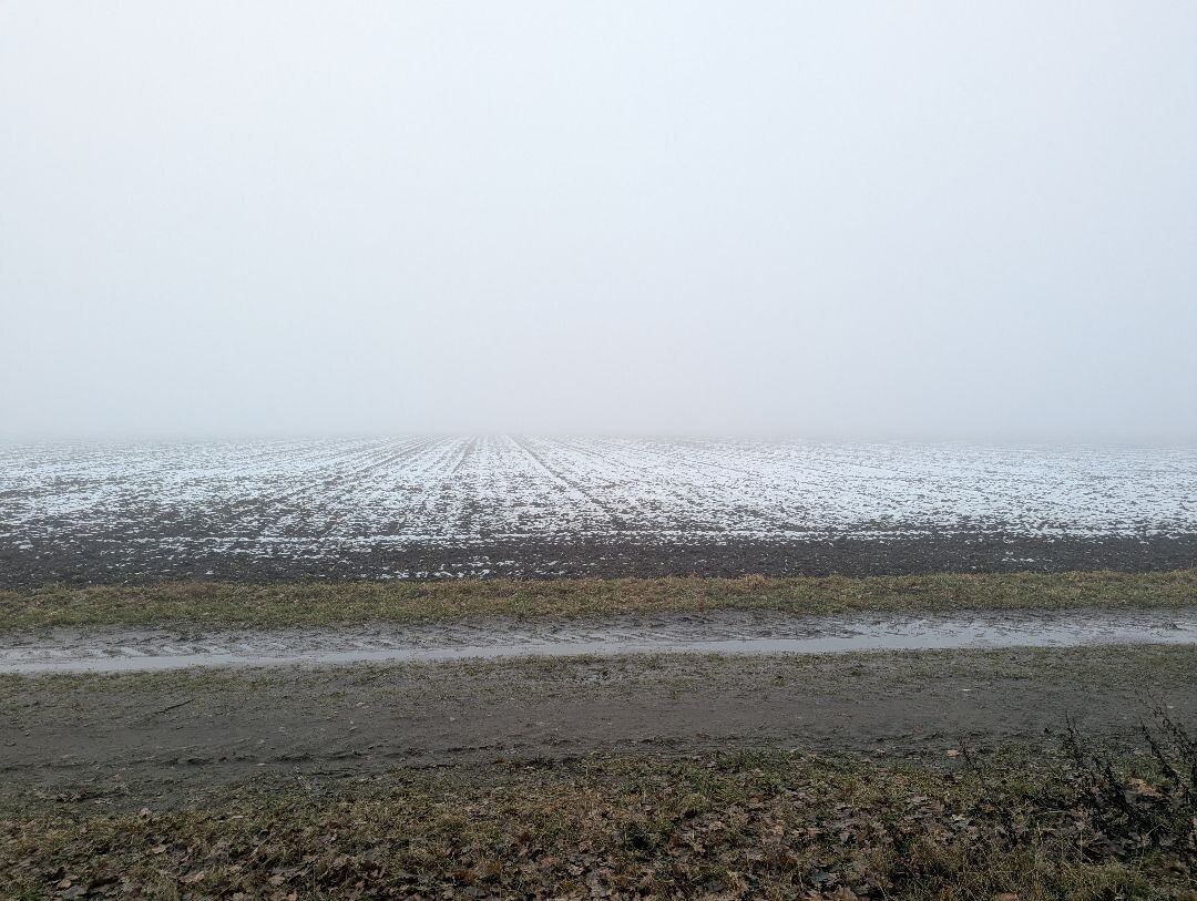 Wandeling met de mannen