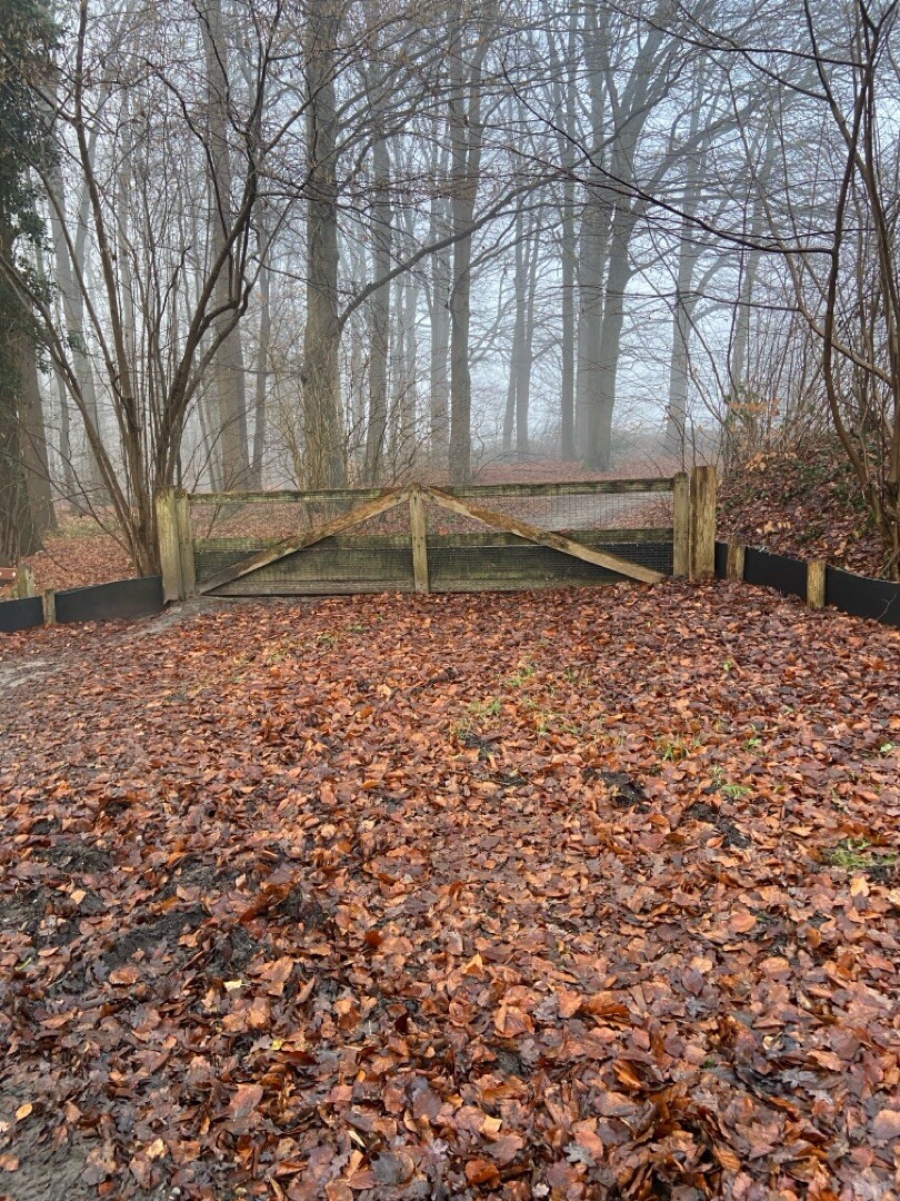 Staringroute - wandelroute