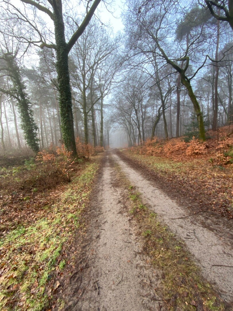 Wandelroute Velhorst, in de Graafschap