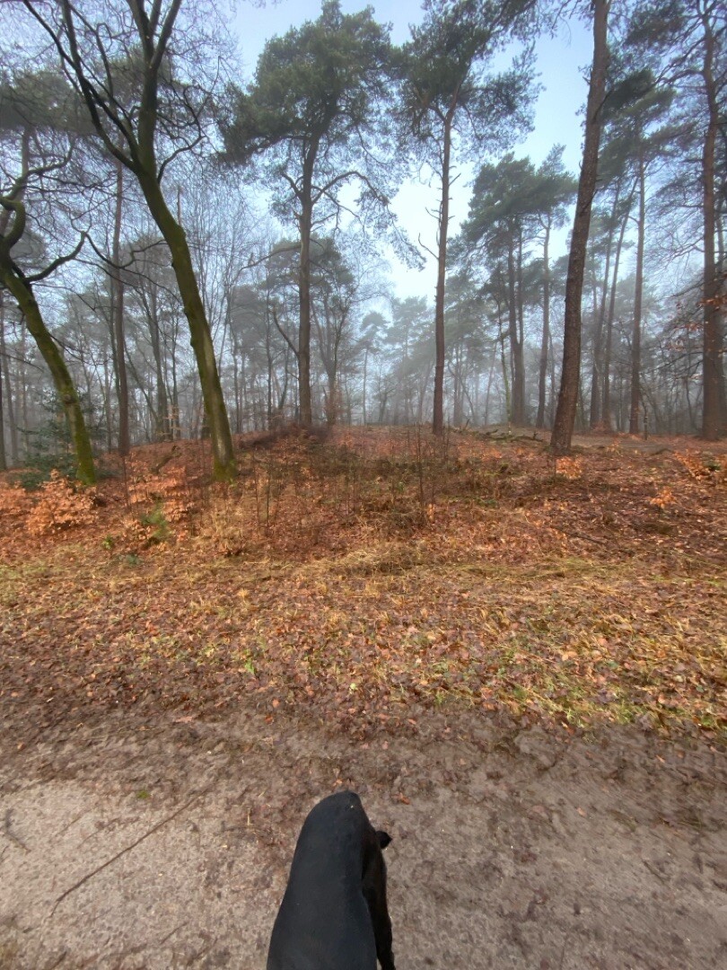 Wandelroute Velhorst, in de Graafschap