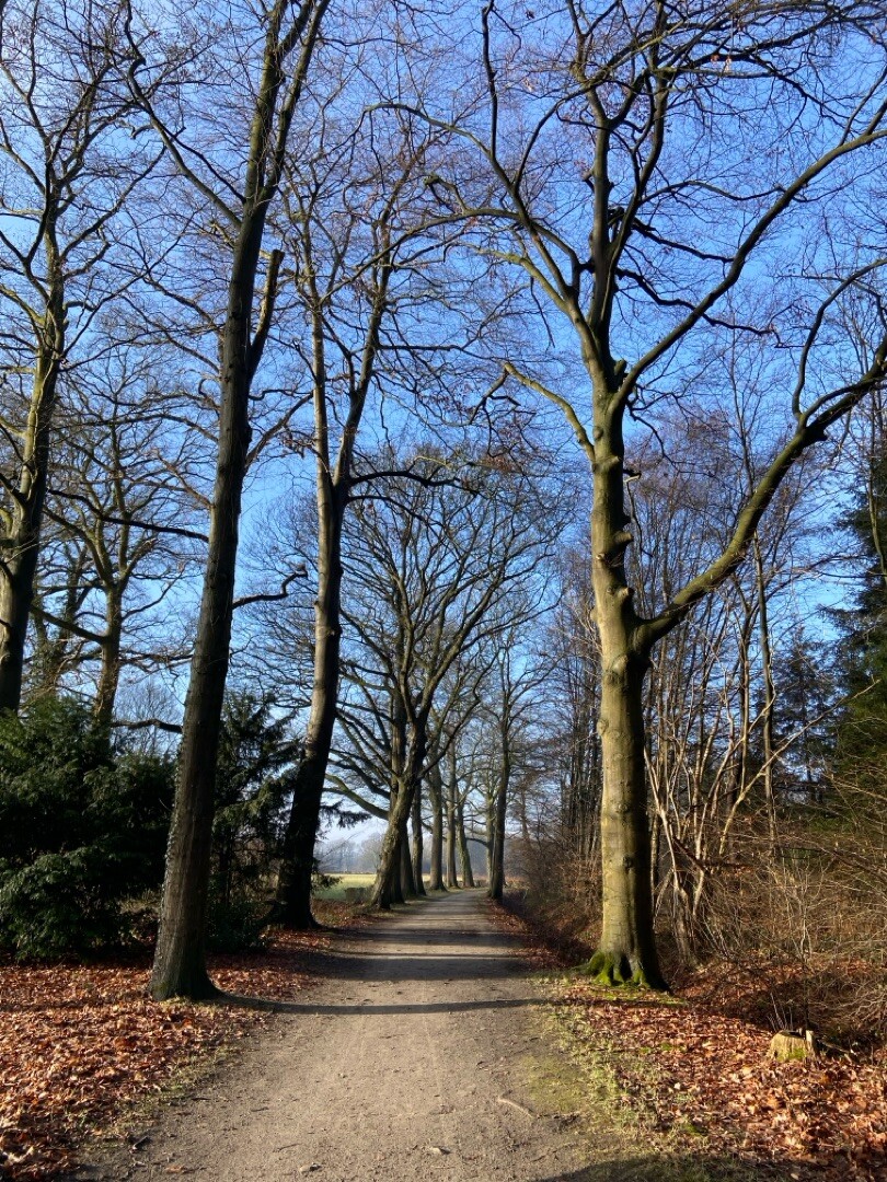 Wandelroute Velhorst, in de Graafschap