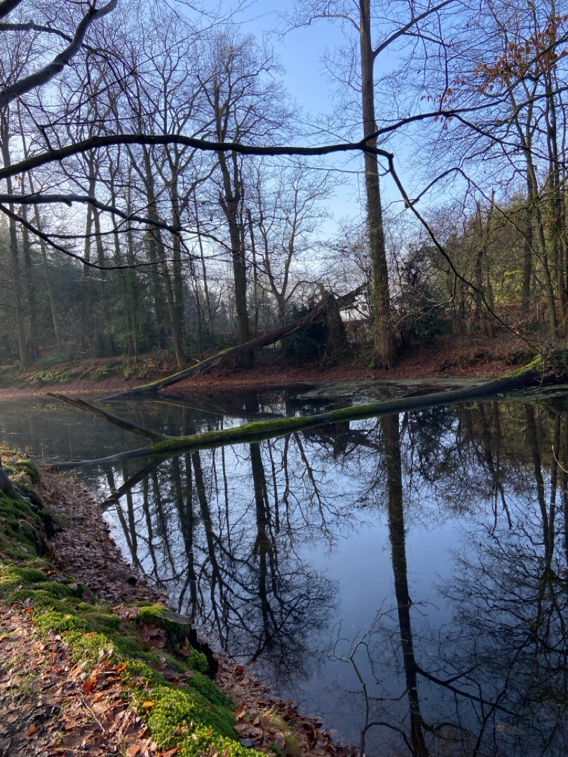 Laren - Vorden · Pieterpad etappe 13