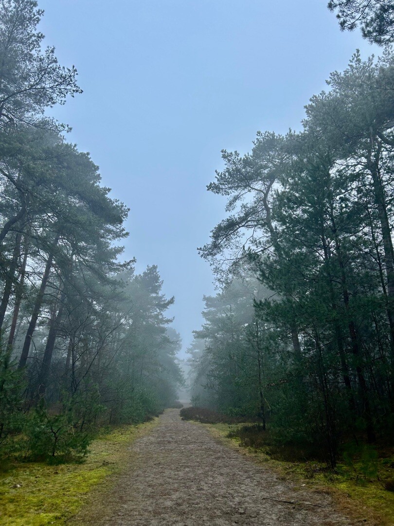 Wandelroute Dieverzand