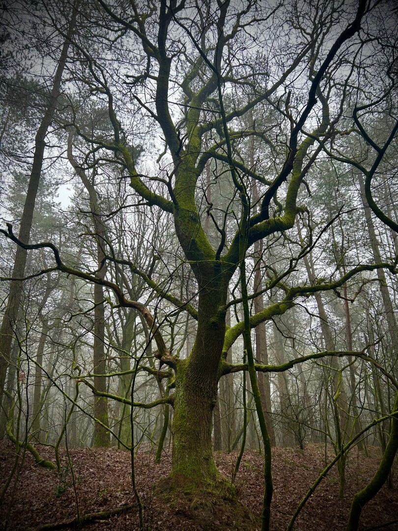 Wandelroute Dieverzand