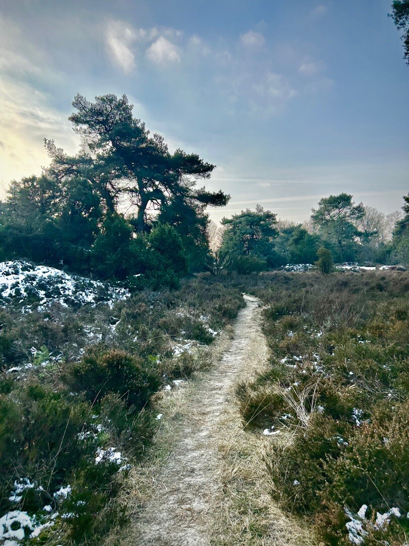 Bosbad Noord-Sleen - Noord-Sleen · Cultuurpad Coevorden etappe 15
