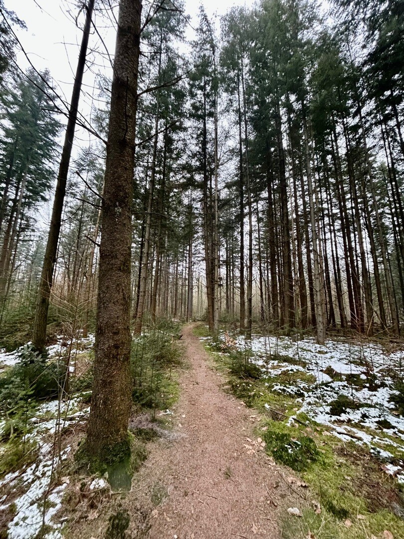 Wandelroute Mieren Sleenerzand