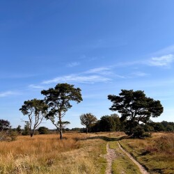 IJsroute Havelte