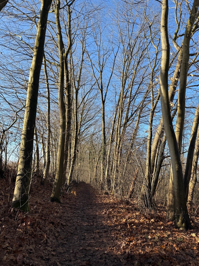 Swalmen - Montfort · Pieterpad etappe 23