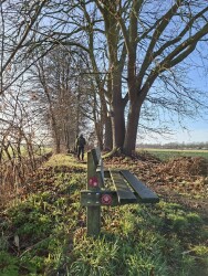Nuland - Veghel · Camino Brabant etappe 2