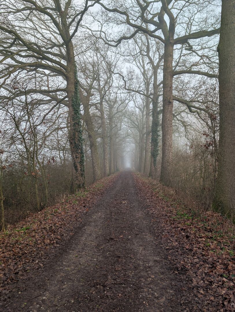 Gedeelte van Klompenpad Wolferensepad