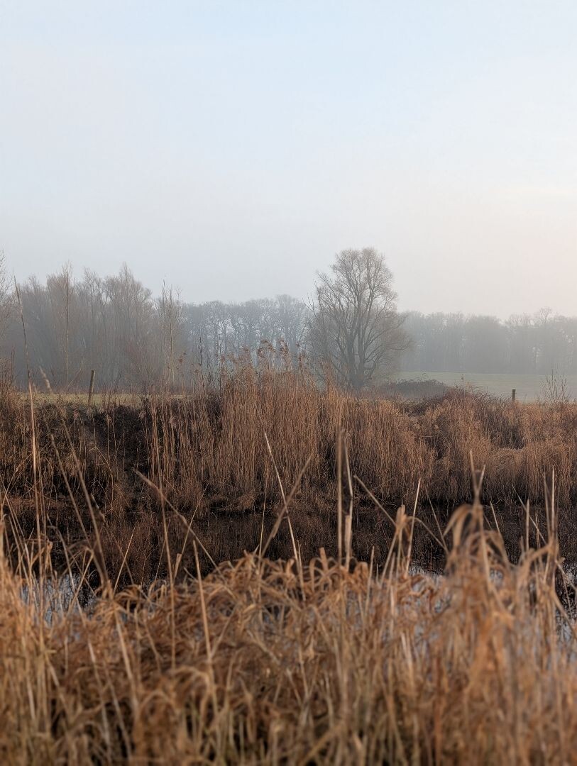 Gedeelte van Klompenpad Wolferensepad