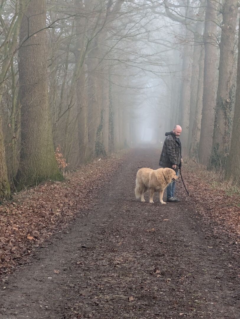 Gedeelte van Klompenpad Wolferensepad