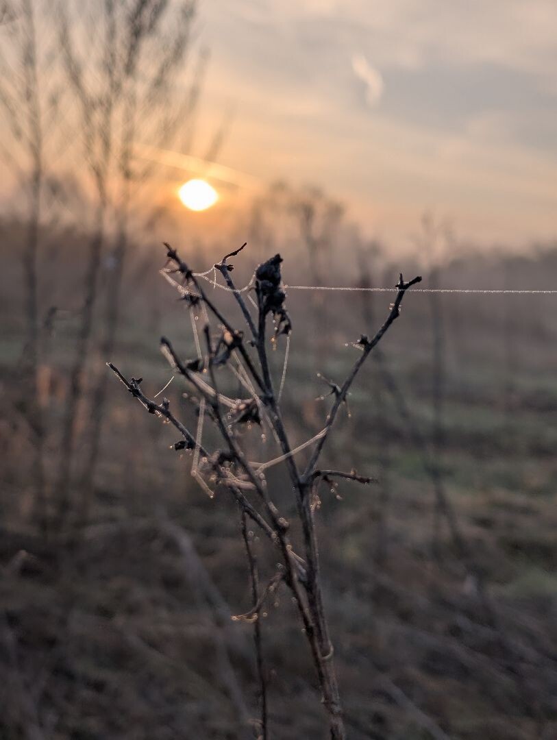 Gedeelte van Klompenpad Wolferensepad