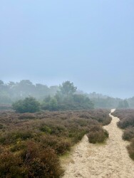 Wandelroute Witteveen