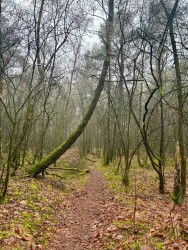 Wandelroute Witteveen