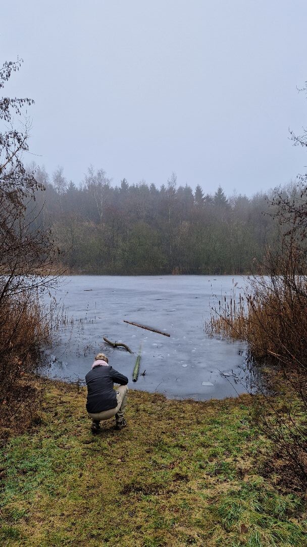 Vledderbos, is meer een park met veel verharde paden