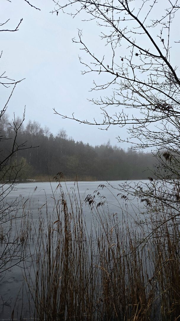 Wandelroute Vledderbos 