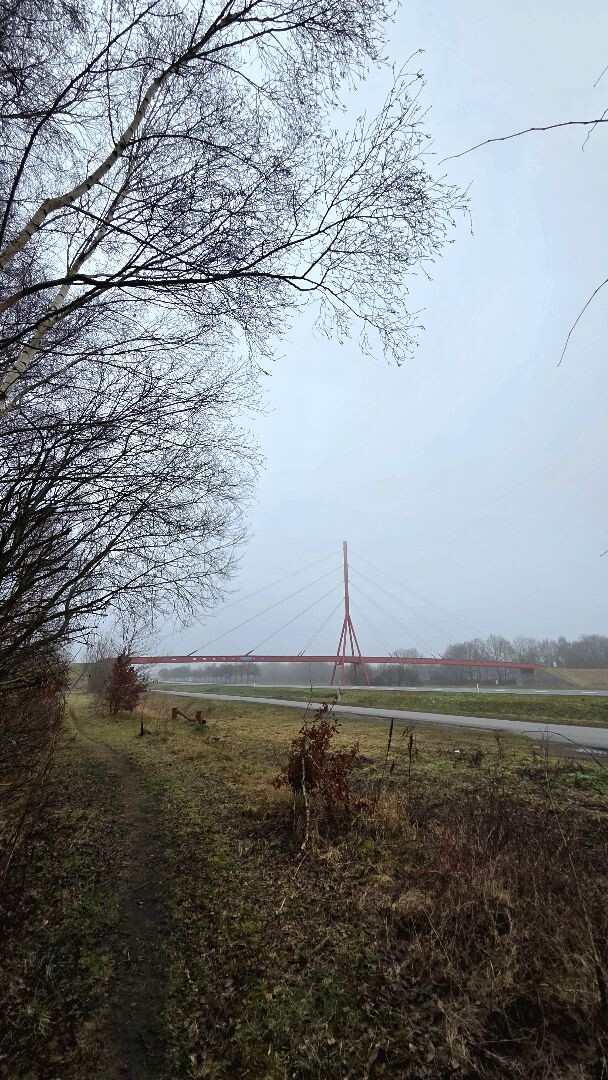 Wandelroute Vledderbos 