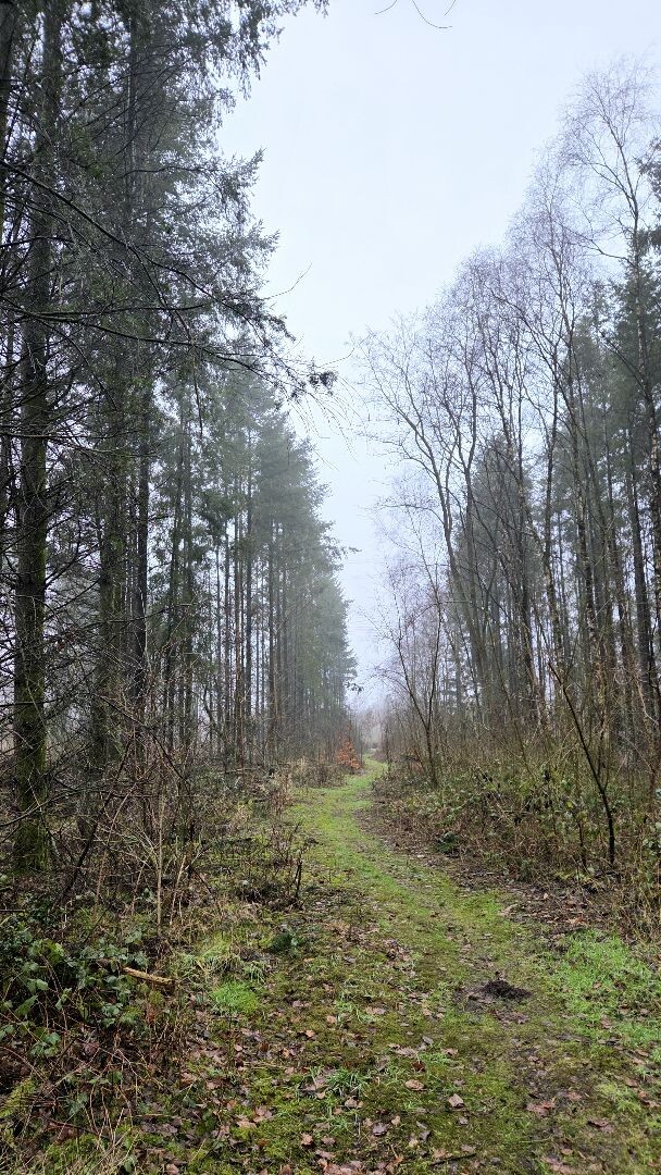 Wandelroute Vledderbos 