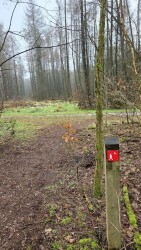 Wandelroute Vledderbos 