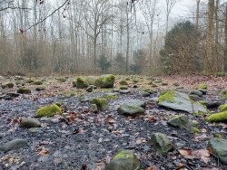 Schokland haven