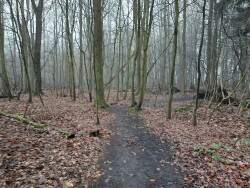 Schokland haven