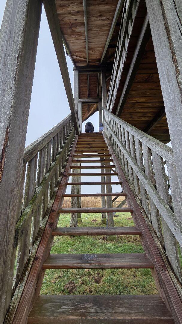 Wandelroute Leinwijk