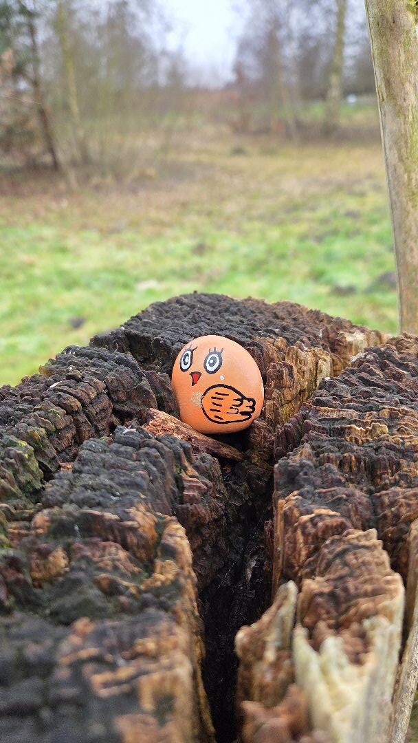 Wandelroute Leinwijk