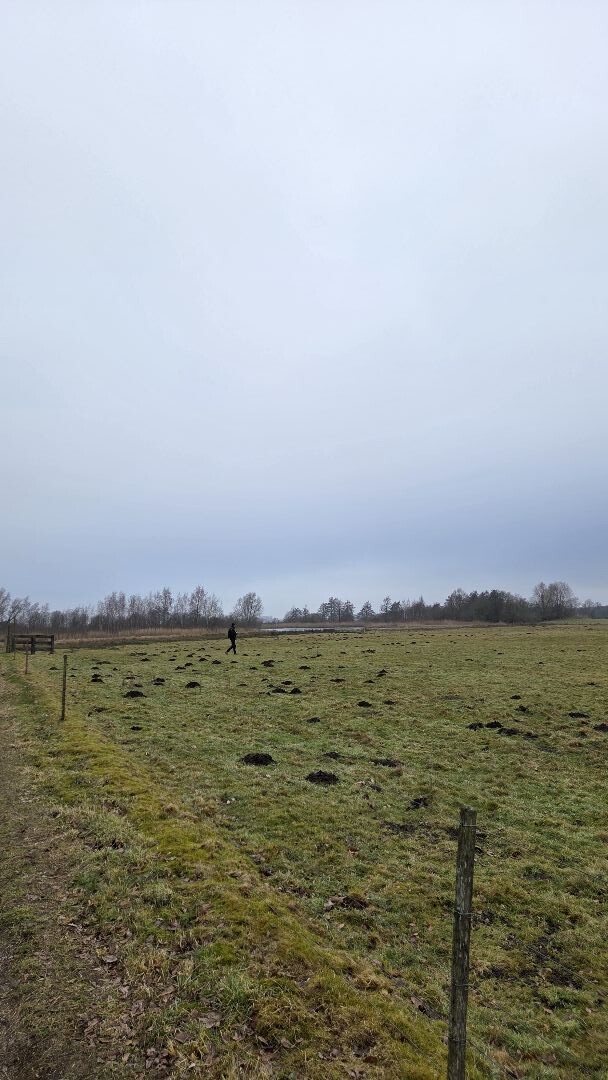 Wandelroute Leinwijk