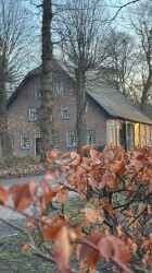 Boswachterij Dorst