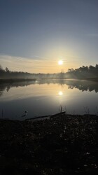 Boswachterij Dorst